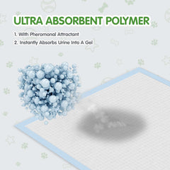 COCOYO leak-proof backing prevents leaks, helping protect floors during training sessions.