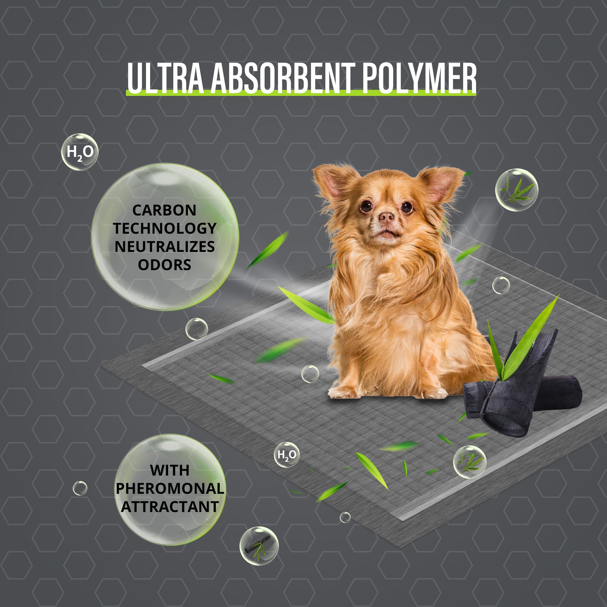 COCOYO training pads ideal for home, travel, and recovery periods.