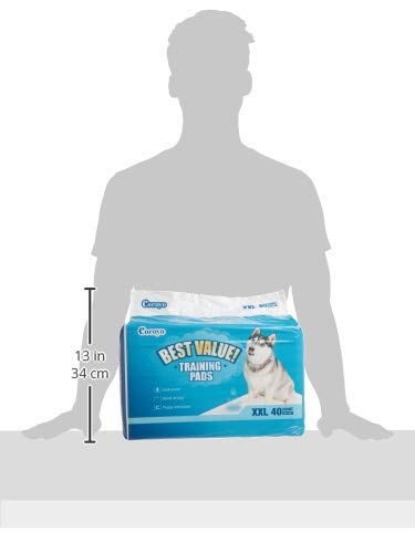 COCOYO Training Pads quick-drying surface helps keep paws dry after use.