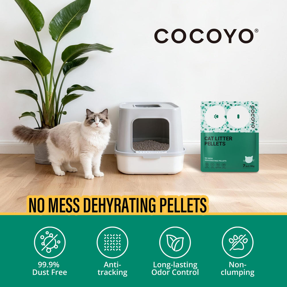 COCOYO zeolite pellets low dust for cleaner air and easier cleaning
