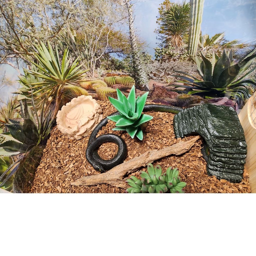 Coir Wonder biodegradable compostable bedding supports eco-friendly pet care