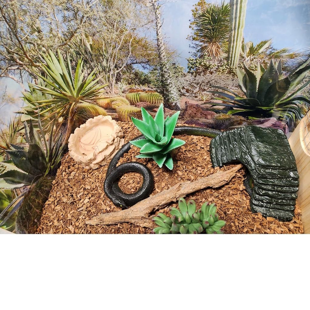 Coir Wonder biodegradable compostable bedding supports eco-friendly pet care
