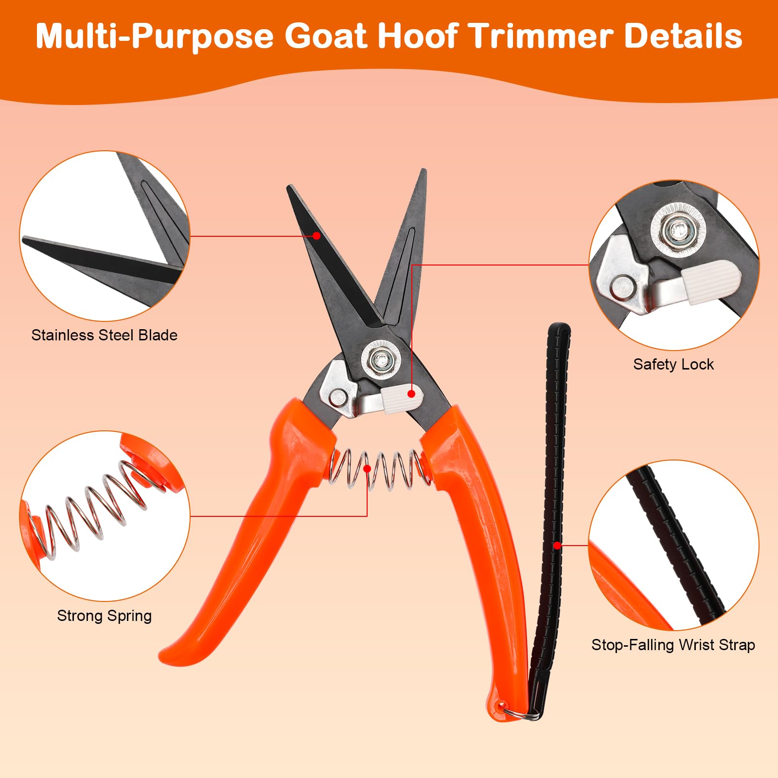 Coldairsoap hoof rasp in hand demonstrates comfortable grip for controlled shaping.