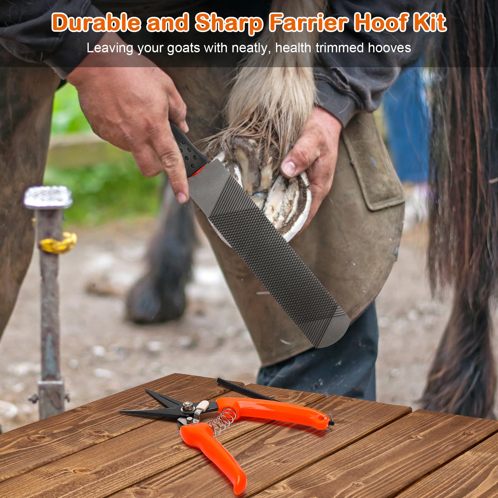 Coldairsoap hoof trimmers kit assembled shows all pieces neatly stored.