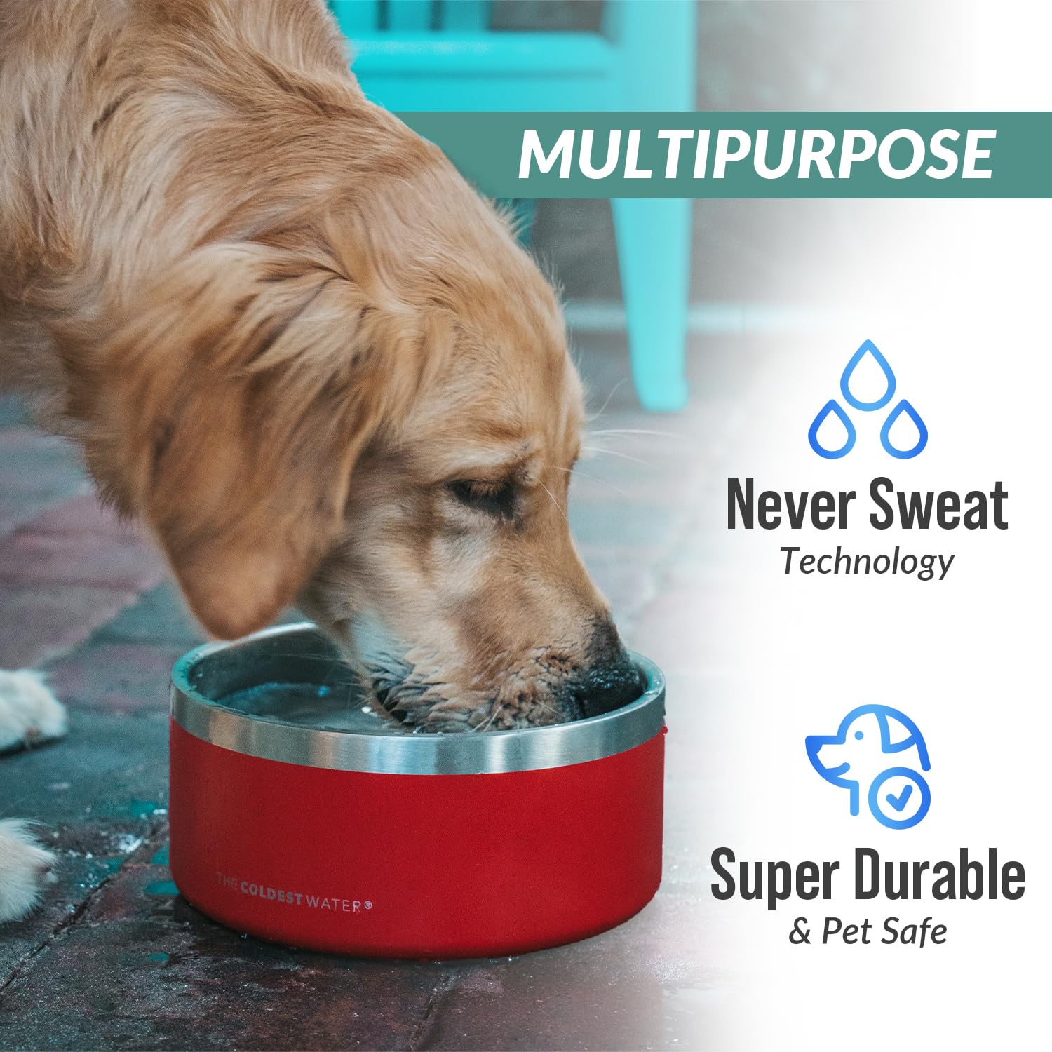 Coldest Dog Bowl comes in 21 oz size for pets.