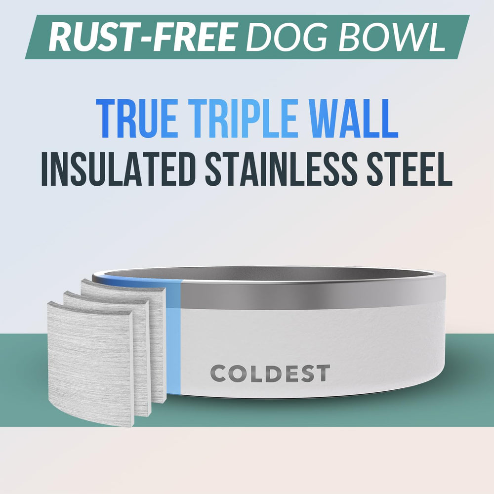 Coldest Water bowl in use demonstrating spill-proof design on the floor.