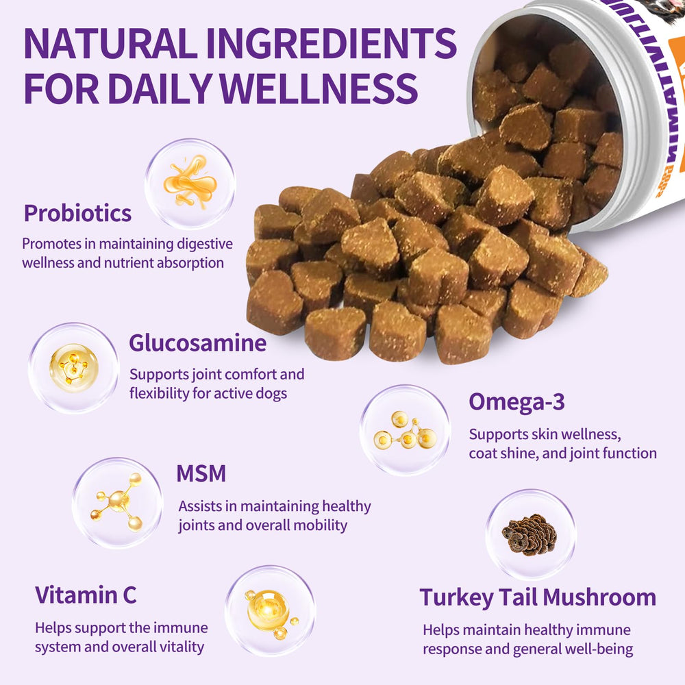 ColEaze probiotic strains aid digestive comfort and steady energy.