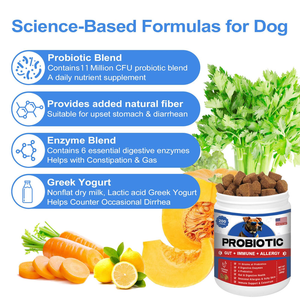 ColEaze probiotics serving in a dish for easy daily routine.