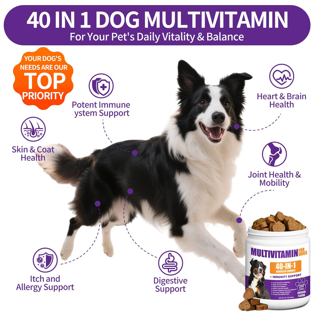ColEaze turkey tail mushroom boost highlights immune support for dogs.