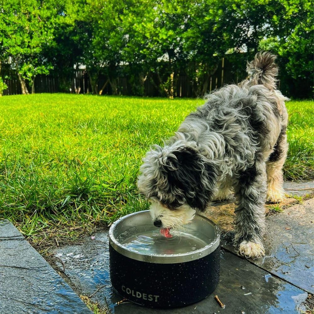 The Coldest Water coldest dog bowl easy-clean finish simplifies maintenance.