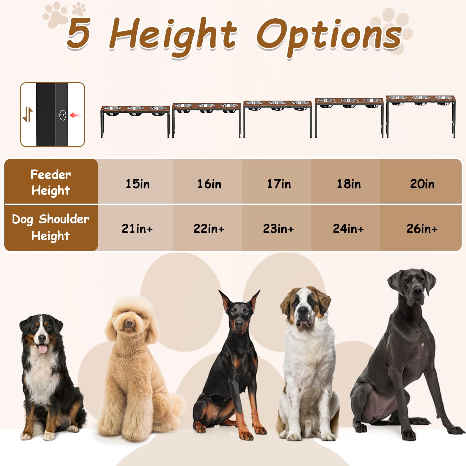 Colewin height-adjustable stand adapts to your dog's preferred feeding height