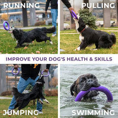 COLLAR PULLER water games dog toy for splashy fun.