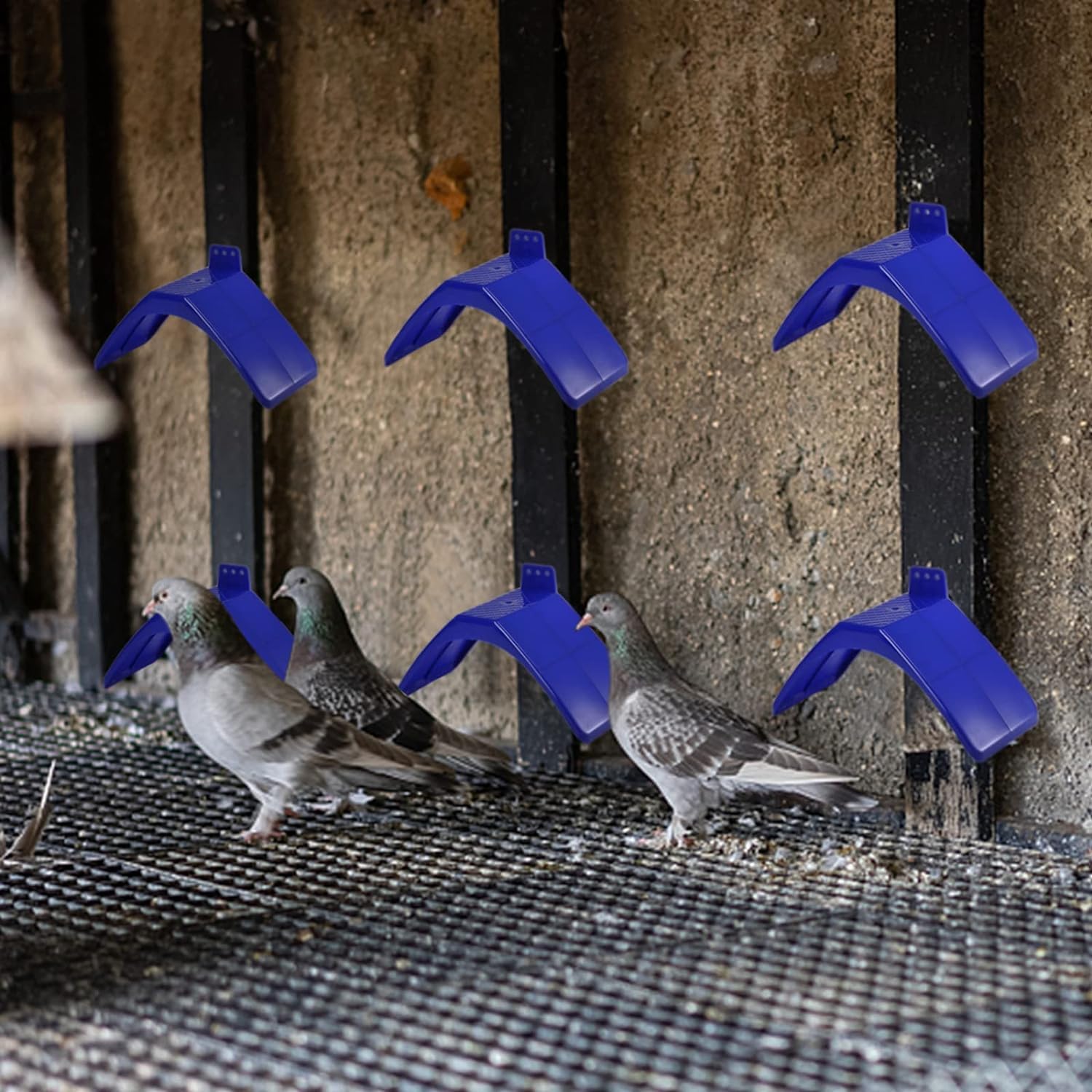 Coloch multi-bird stand supports dove, pigeon, parrot, and more