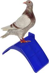 Coloch roost holder with rounded corners for safety