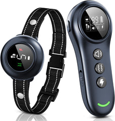 Colofrog 2-in-1 dog collar with remote in use for outdoor training