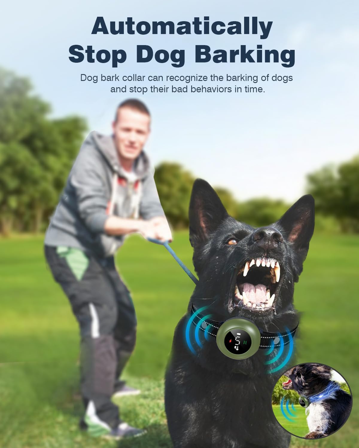 Colofrog bark control mode indicator showing automatic bark detection feature.