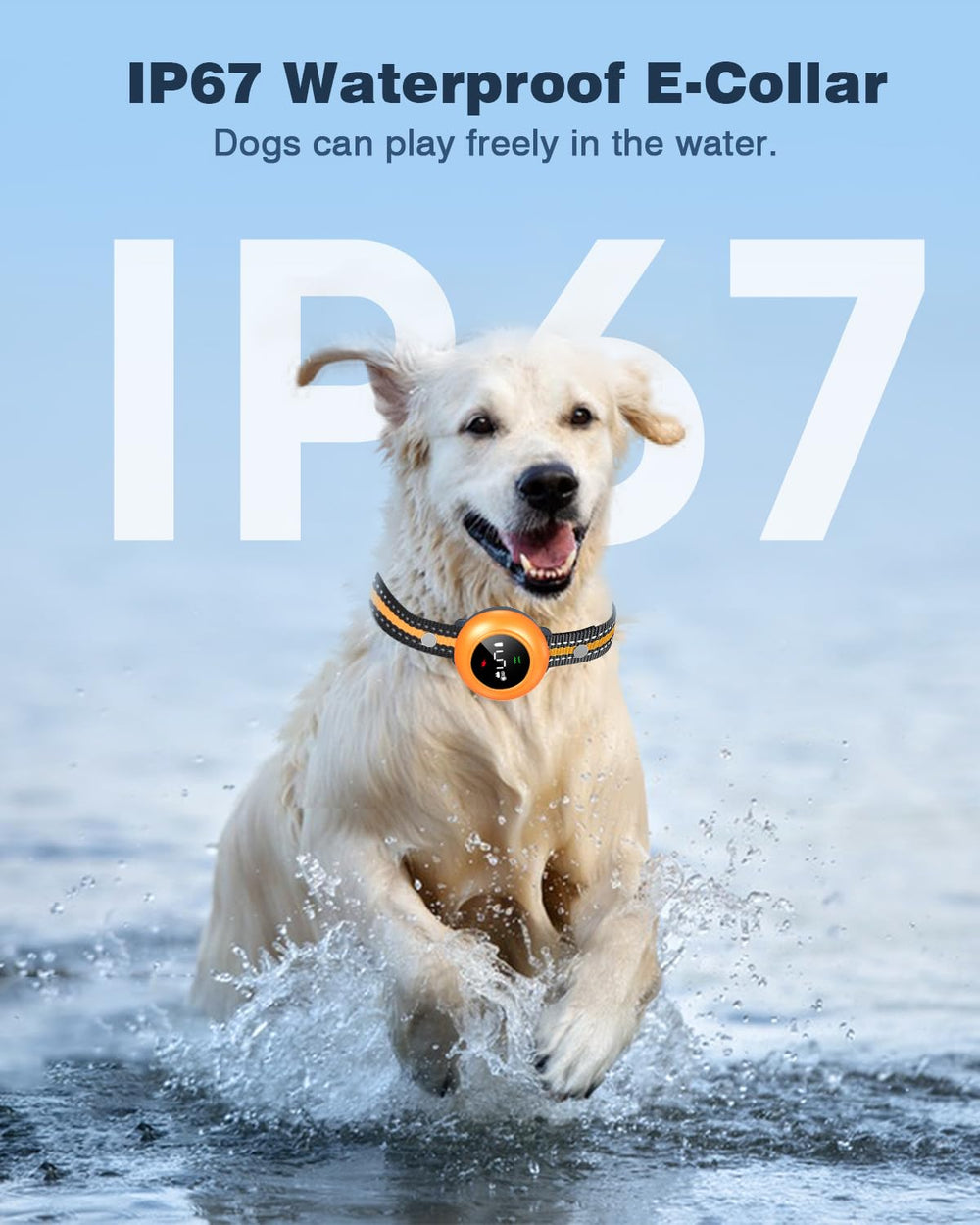 Colofrog bark control mode highlight smart barking recognition