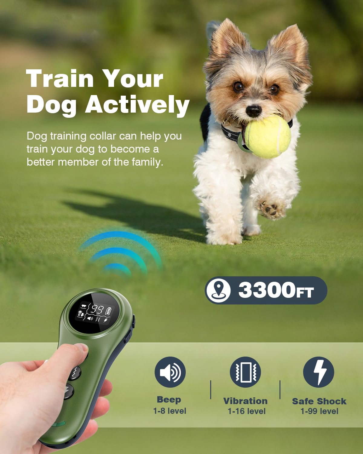Colofrog training functions beeps vibration and shocks for precise cueing.