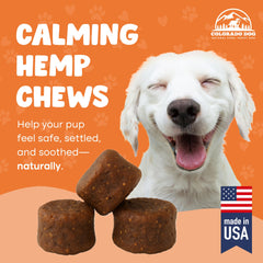 Colorado Dog calming chews beside a leash indicate readiness for separation anxiety relief.