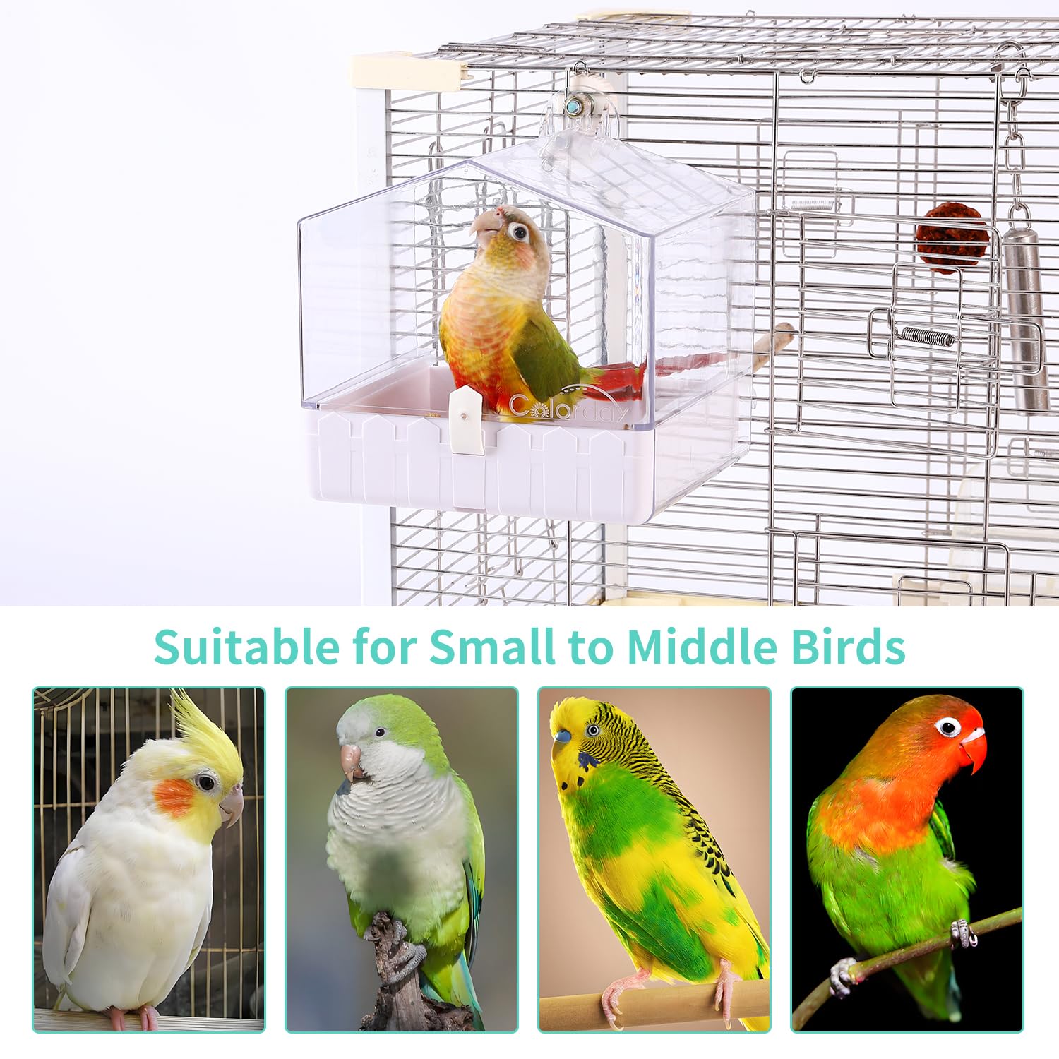 Food-grade PE and ABS construction keeps birds safe and durable.