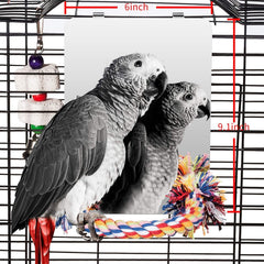 Colorday bird mirror with rope perch offers a clear reflection for birds.