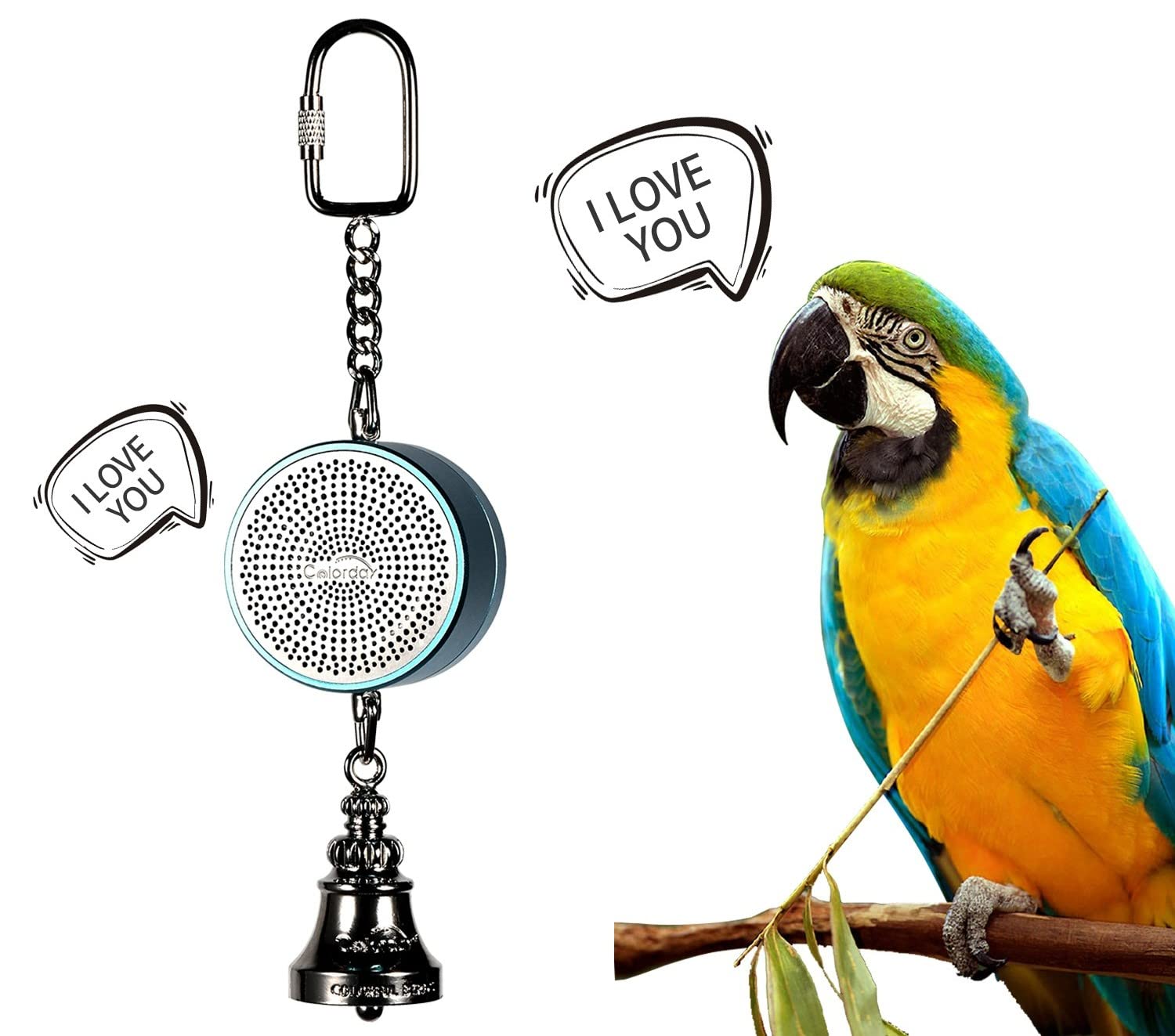 Colorday recordable voice bird toy demonstrates personalized playback for training.
