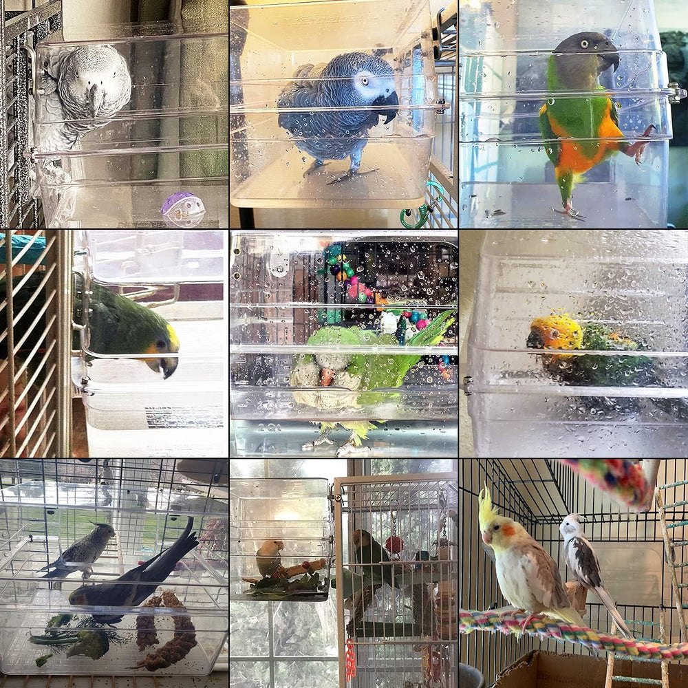 Colorday transparent-shell bath enables birds to bathe while you monitor activity.