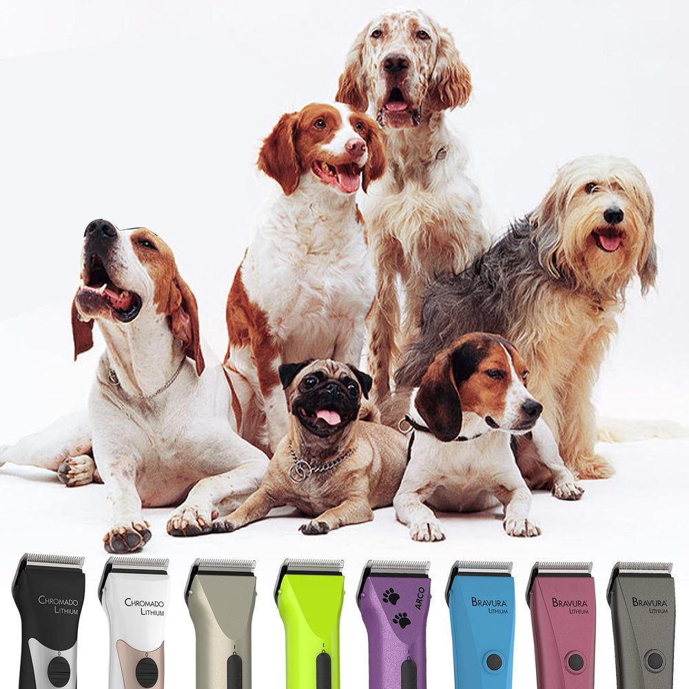Colorski 3-pack blades in use for quick swaps during grooming.