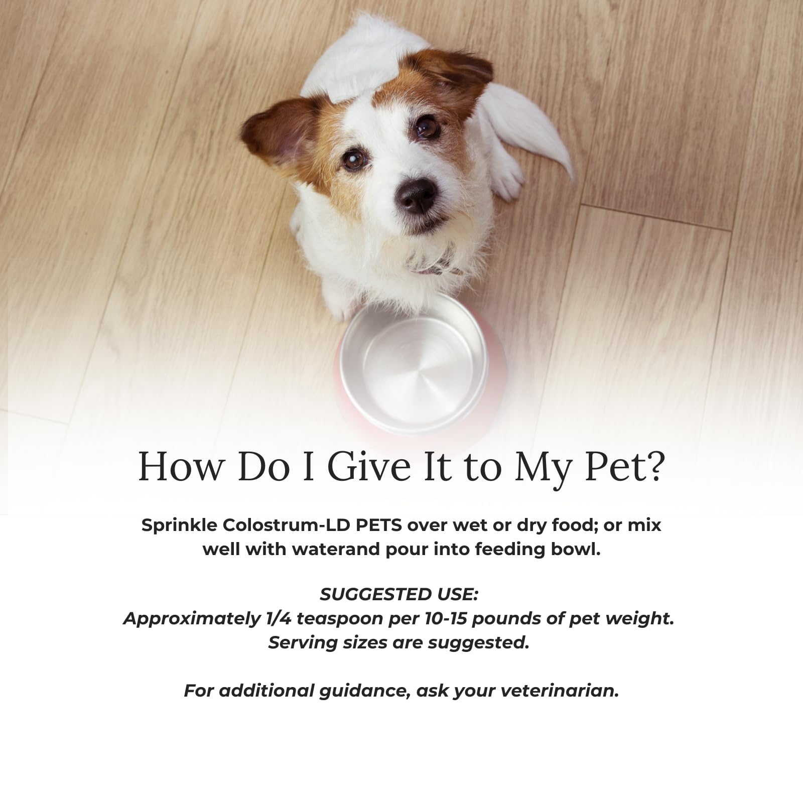 Colostrum-LD for dogs and cats supports digestive comfort.