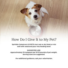 Colostrum-LD for dogs and cats supports digestive comfort.