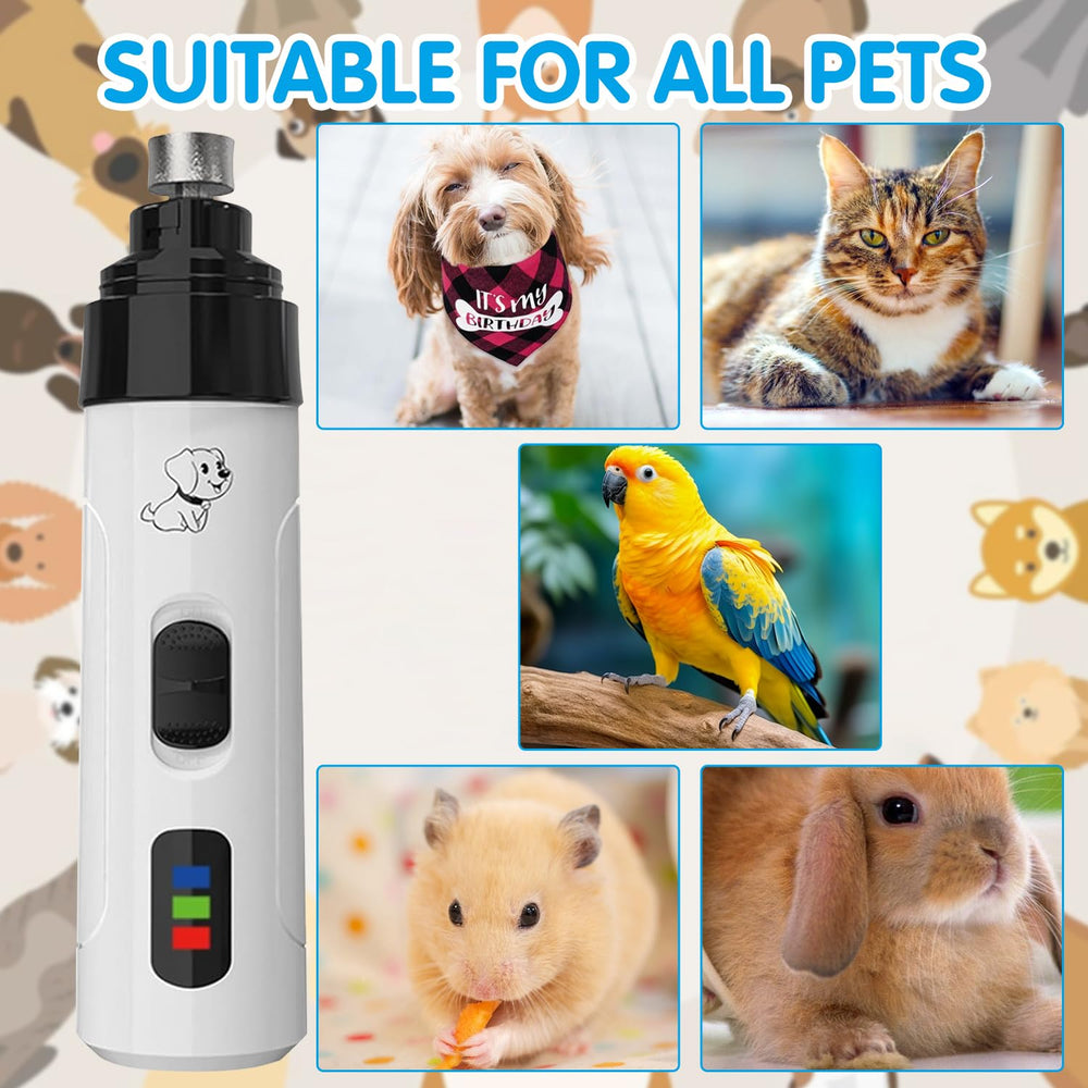 COLOTTE Silent Groom Pro in use, ideal for pets of all sizes