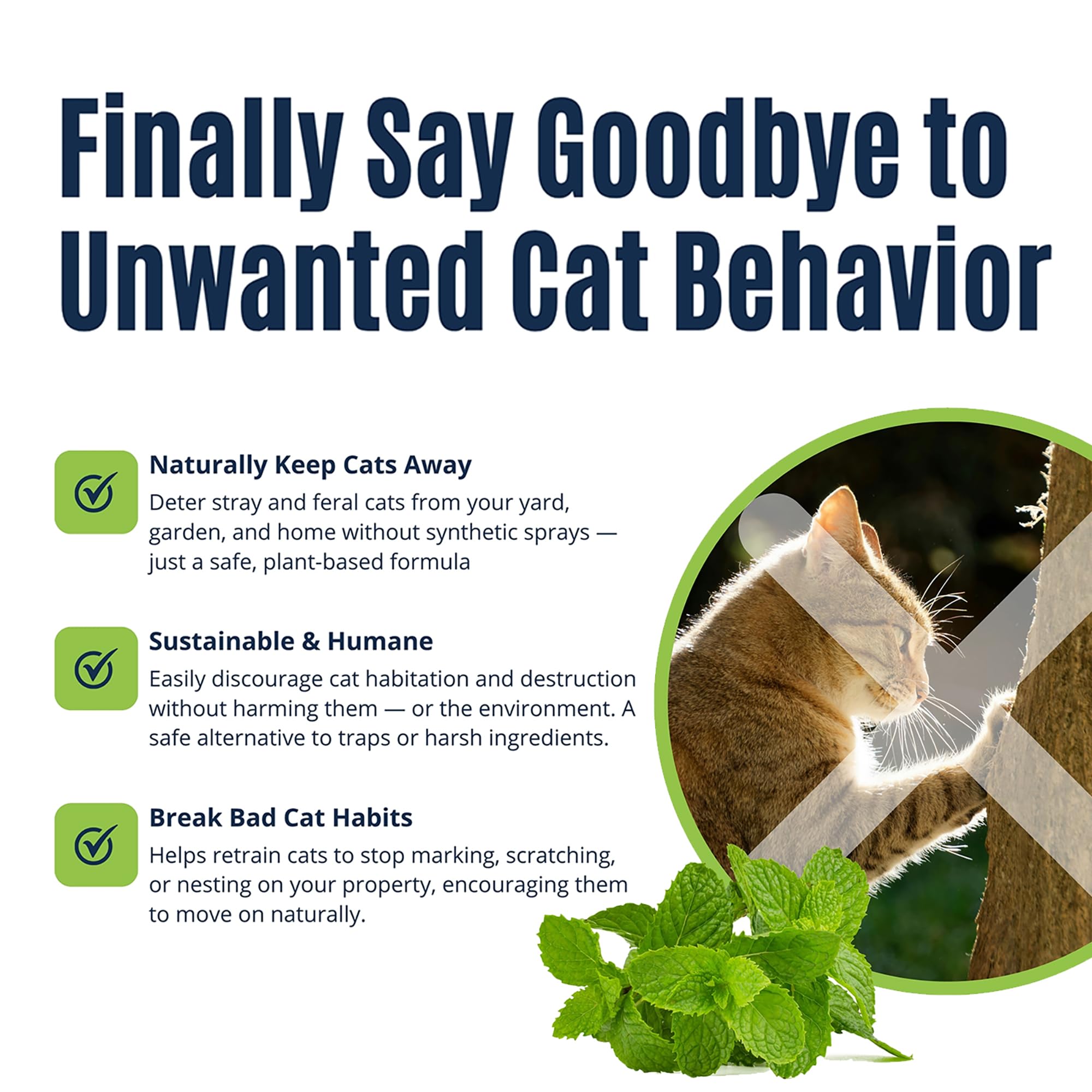 Colton's Naturals Cat Repellent Spray creates a perimeter barrier to deter cats.