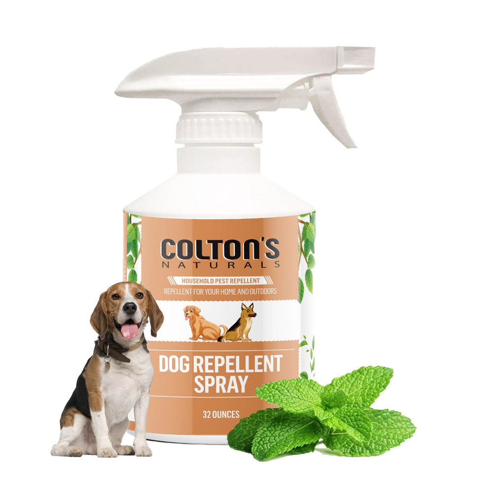 Colton's Naturals Dog Repellent Spray deters dogs from outdoor spaces safely.
