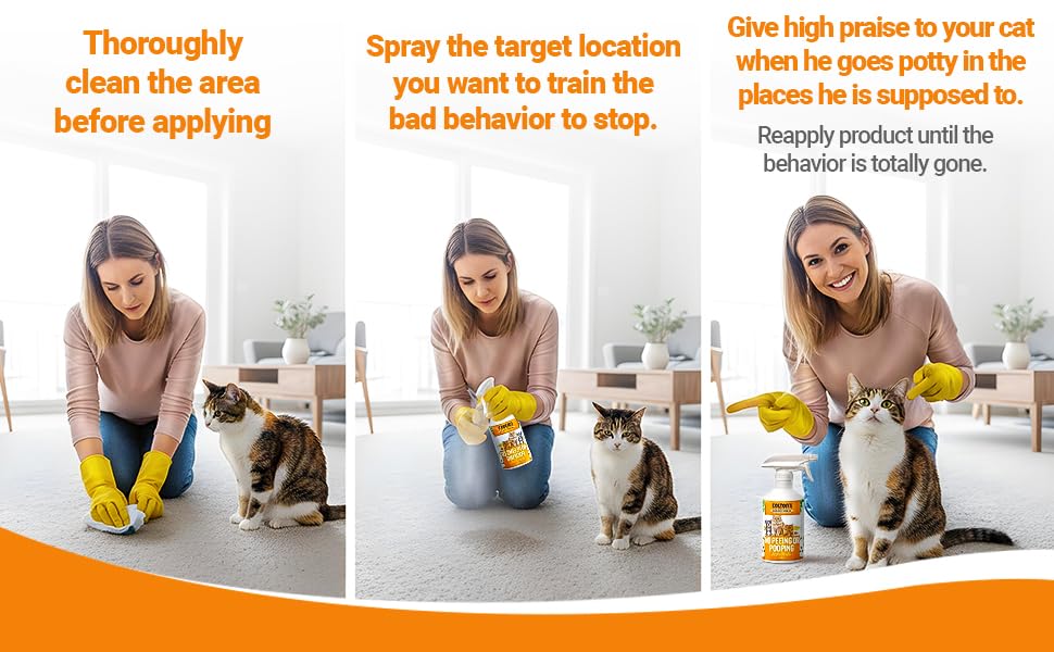 Colton's Naturals kitten training application highlights quick setup for kittens new to litter boxes.