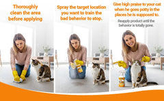 Colton's Naturals kitten training application highlights quick setup for kittens new to litter boxes.