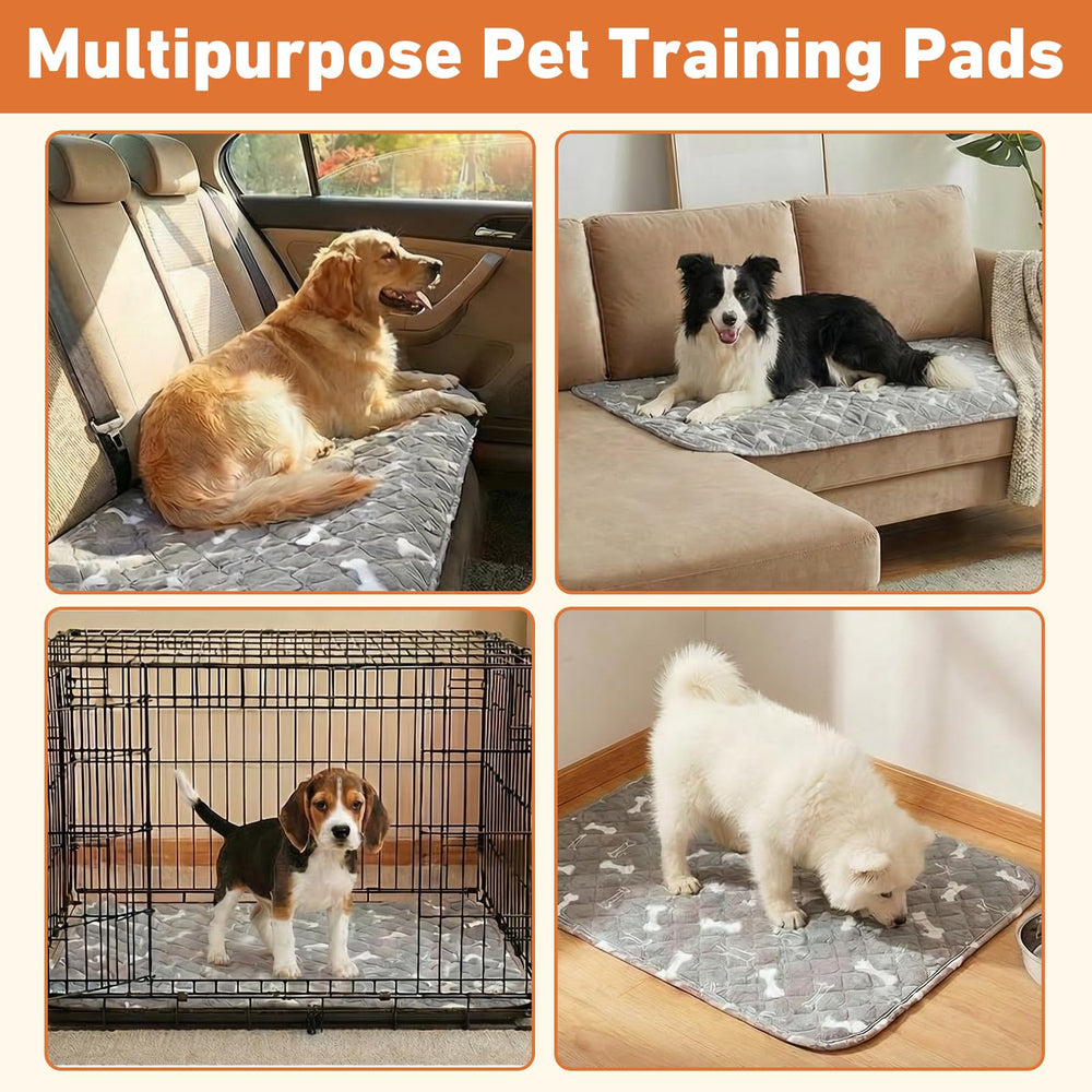 Comasua absorbent technology locks in moisture for a cleaner space