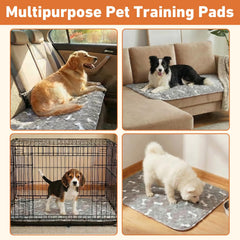 Comasua absorbent technology locks in moisture for a cleaner space