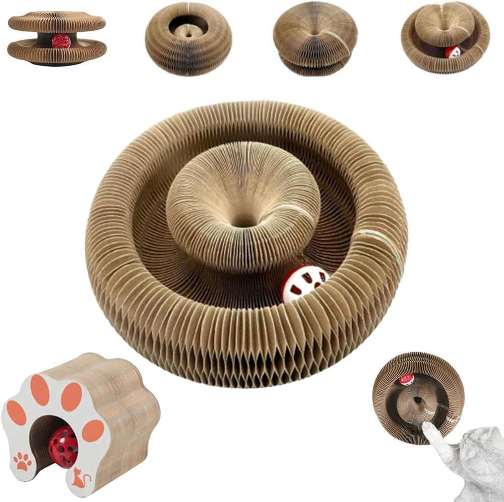 Comasua Kitty Curls Cat Toy front view showing interactive cardboard scratcher for indoor play