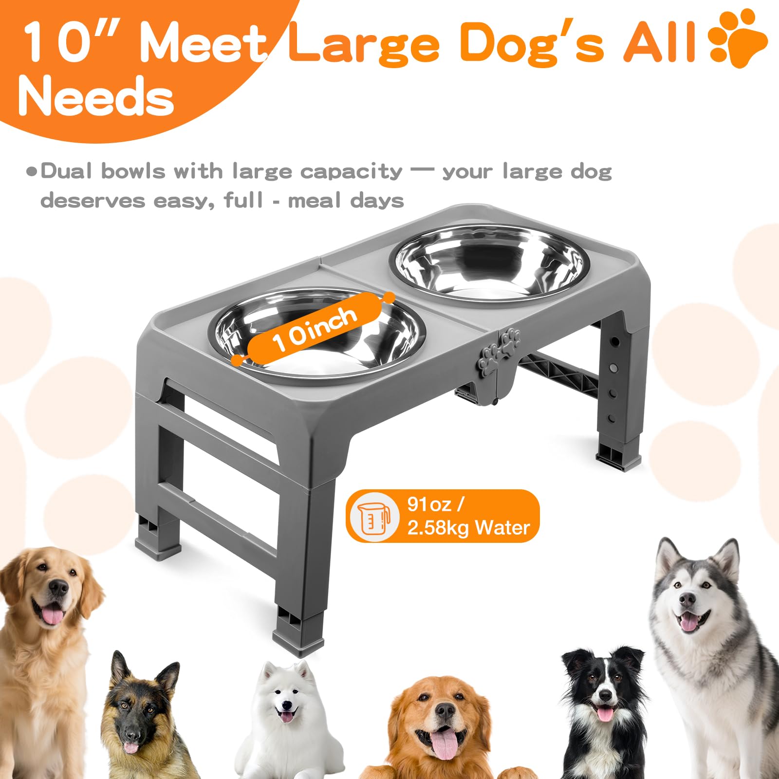 COMESOON paw-shaped buckles and anti-slip pads ensure stable setup.