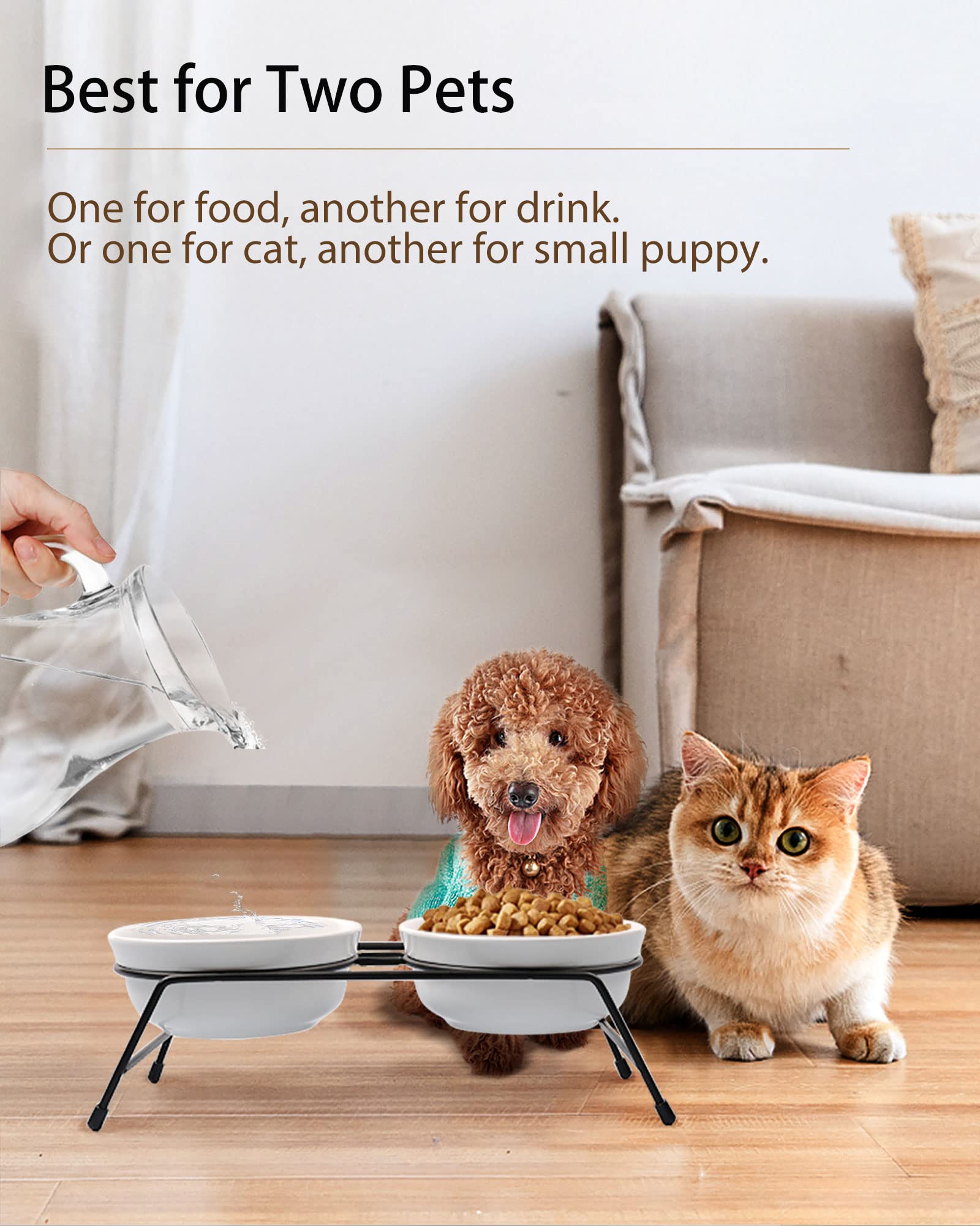 COMESOON elegant fishbone and paw-print patterns add charm to indoor cat dining areas.