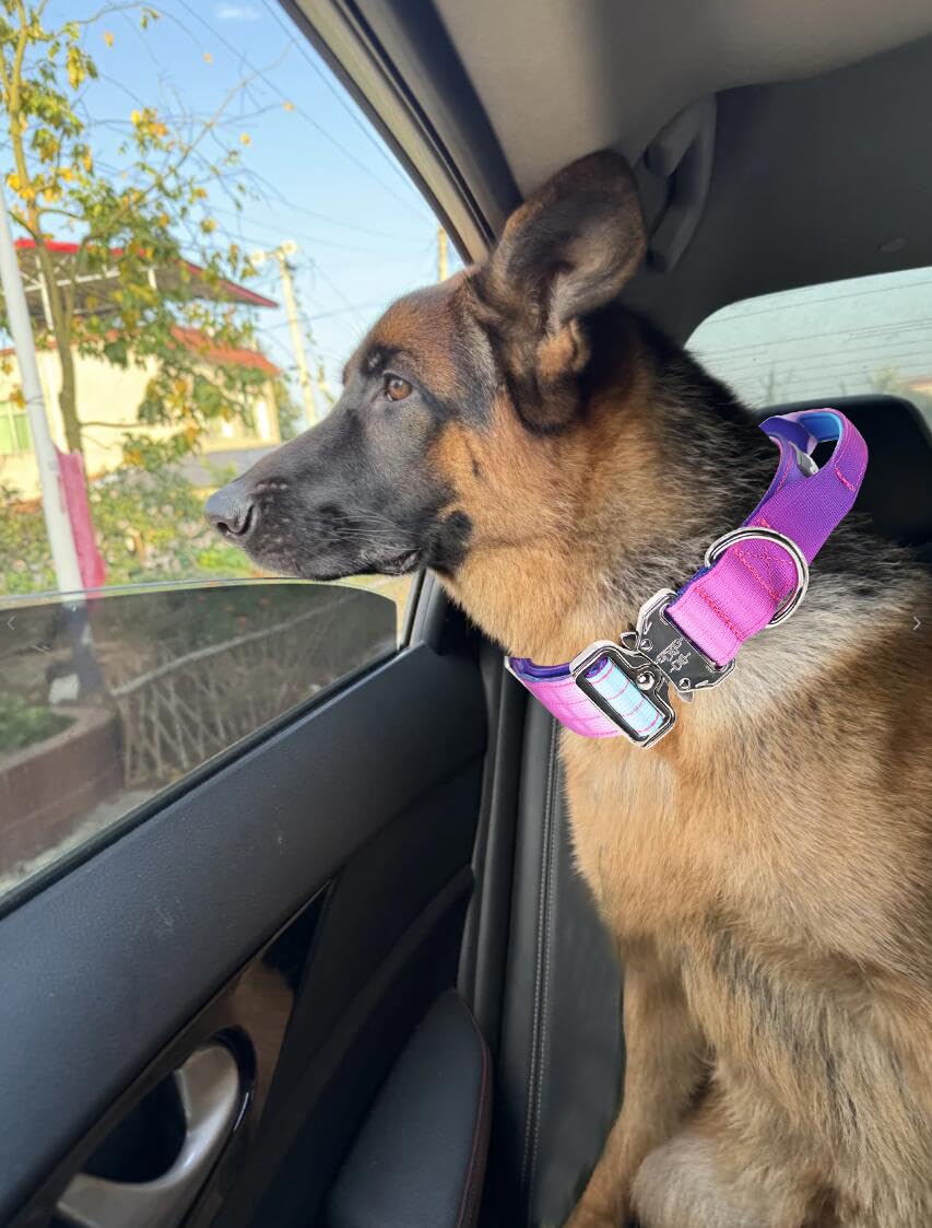 Comfluxe collar for large breeds supports control during training and walks.