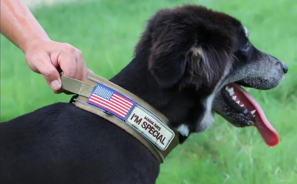 Comfluxe dog collar with double reflective strips for nighttime visibility