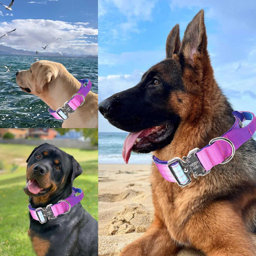 Comfluxe heavy-duty dog collar with quick-release buckle for easy on/off.