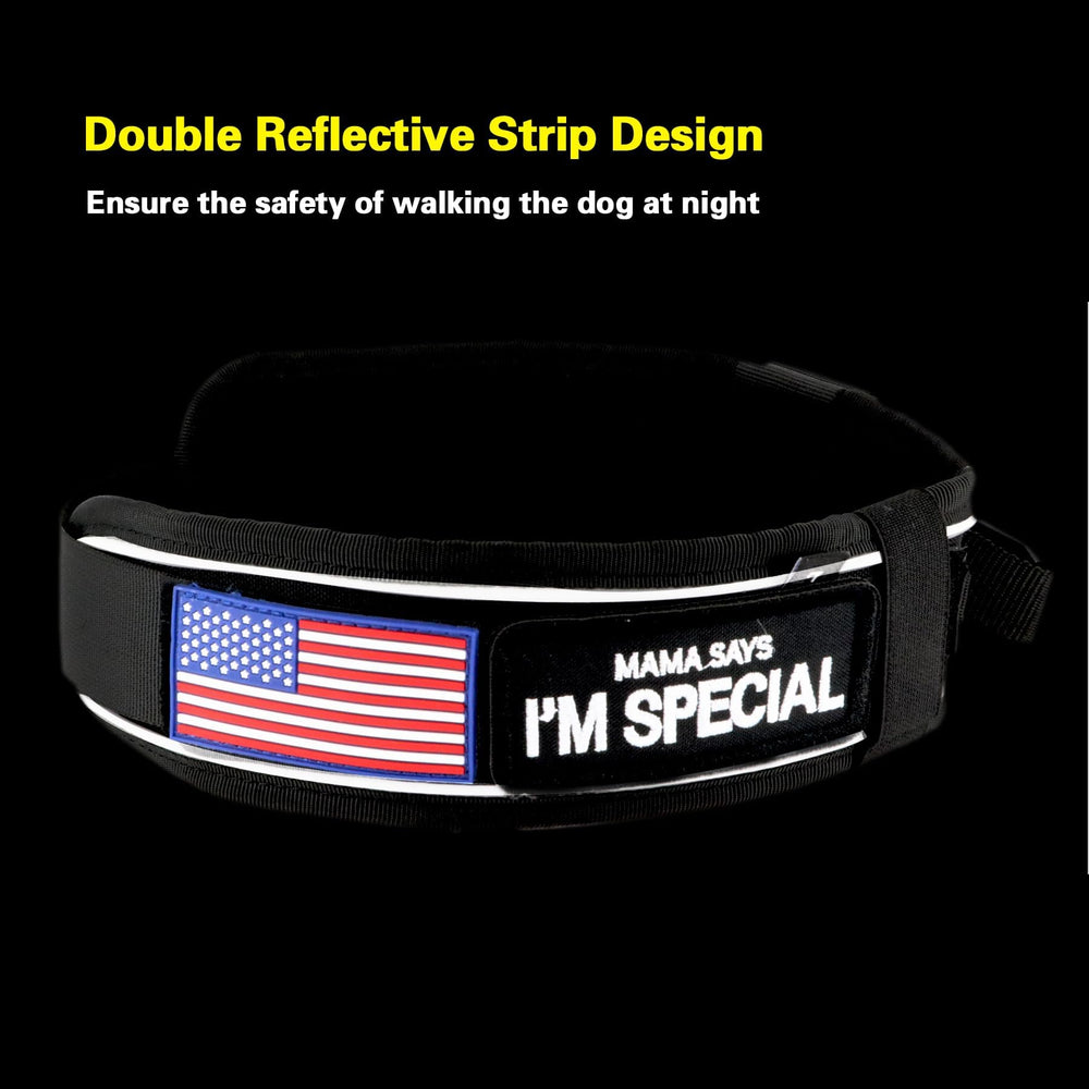 Designed for large breeds, the Comfluxe collar offers a secure fit.