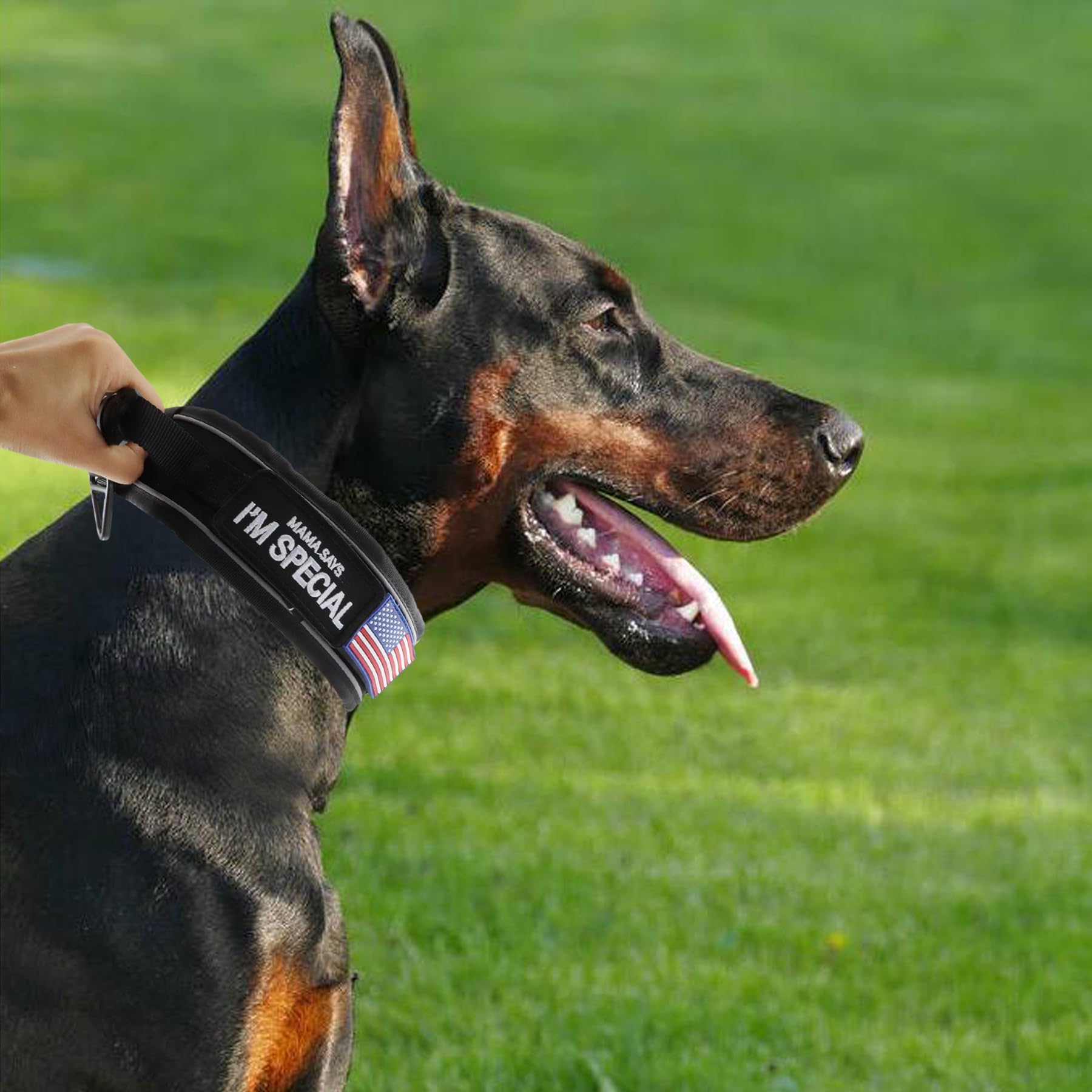Comfluxe collar features neoprene padding for comfortable wear.