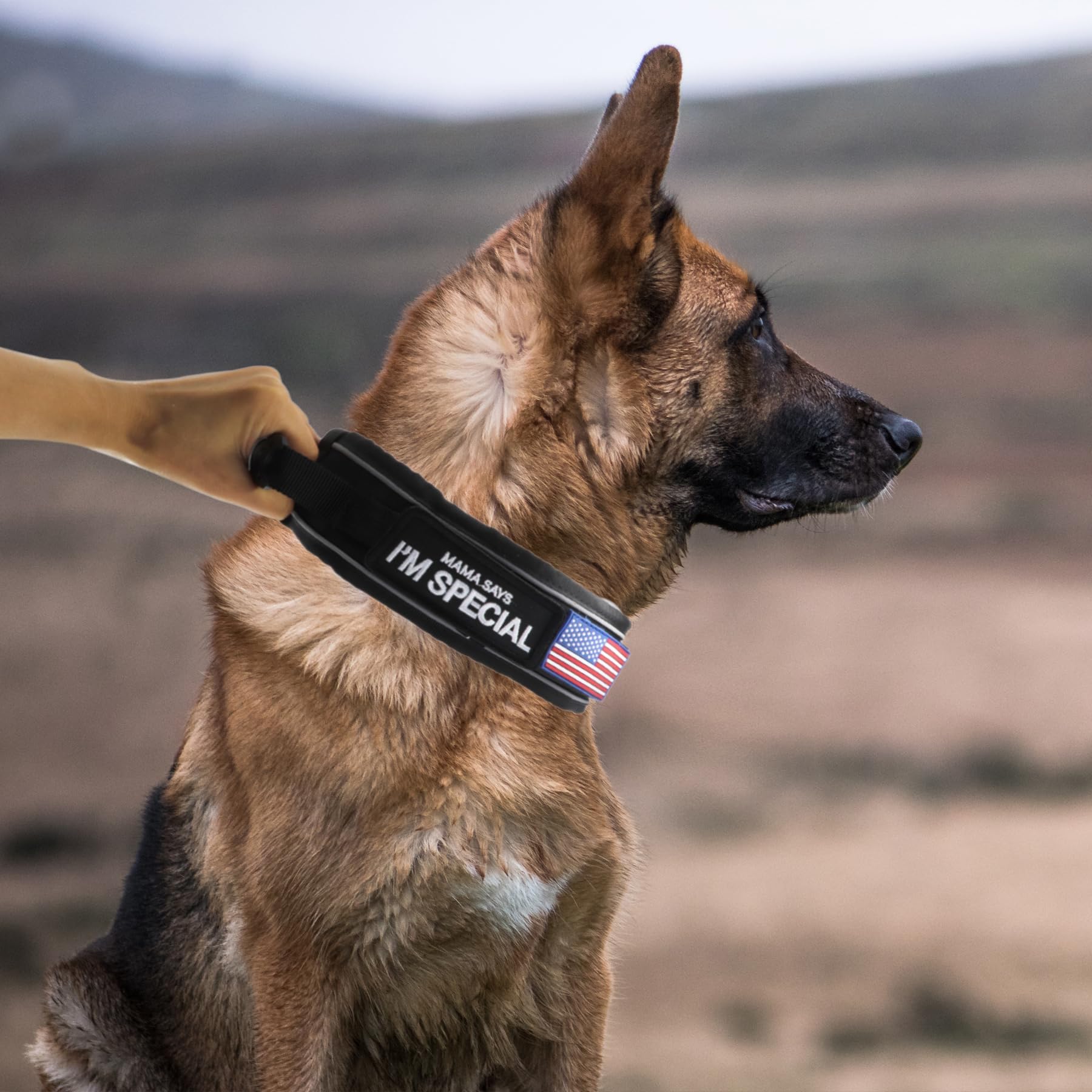 Comfluxe collar with reflective stitching for improved night visibility.