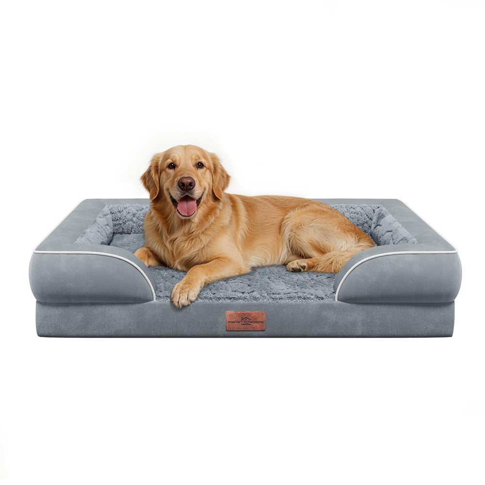 Comfort Expression orthopedic dog bed 36x27 front view with supportive foam.