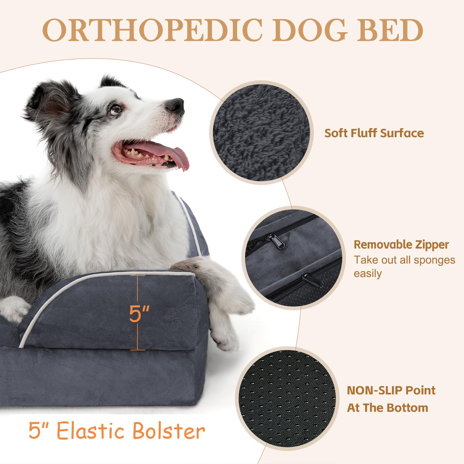 Comfort Expression bed XL size dimensions for large breeds