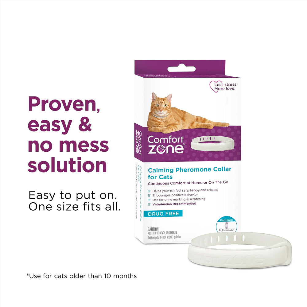 Cat wearing Comfort Zone collar during routine changes like vet visits
