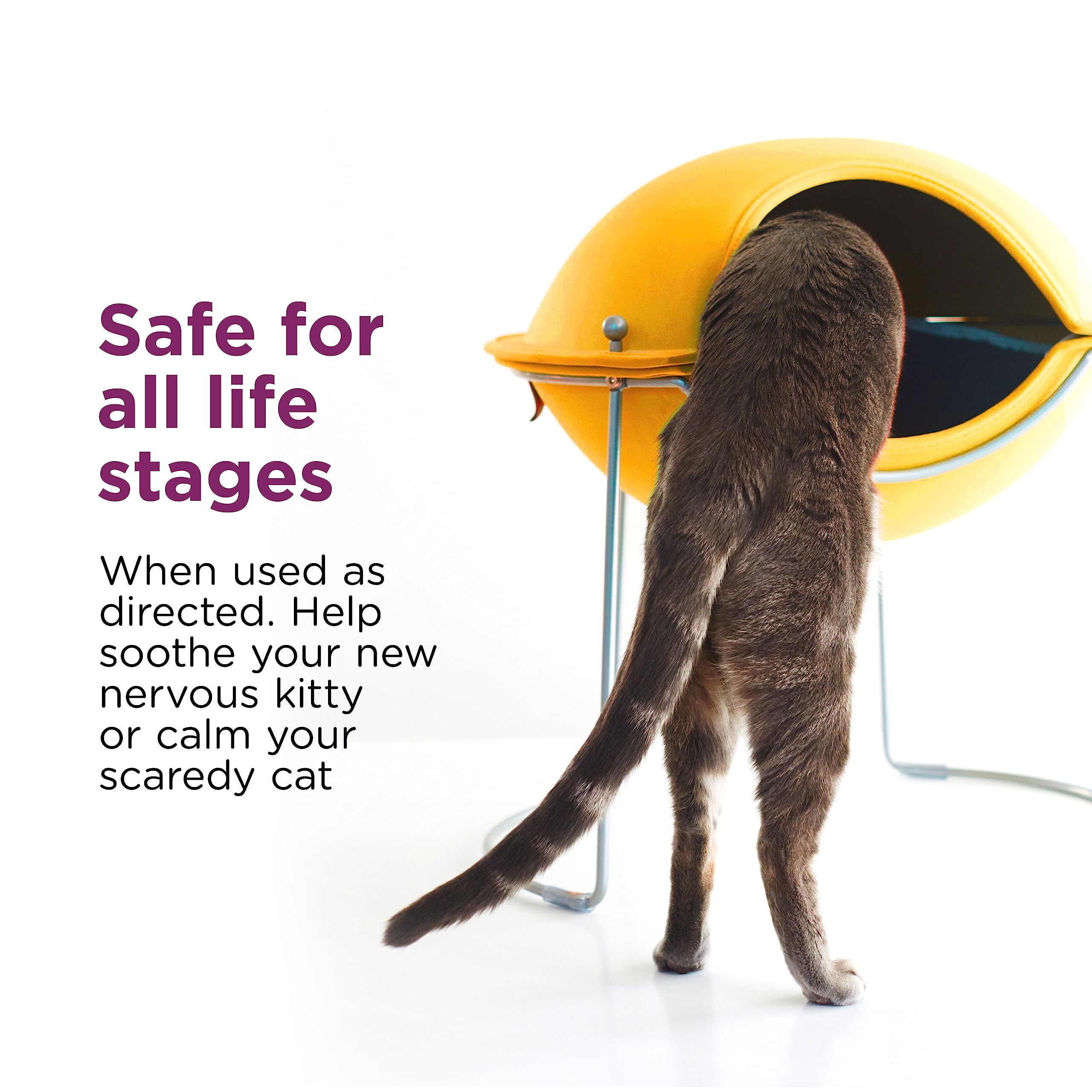 Comfort Zone bottle closeup highlights fragrance-free, drug-free formula for cats